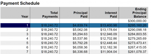 amortization interest paid