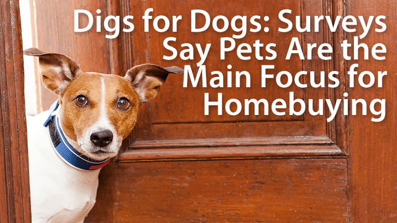 buying a house for you and your pet